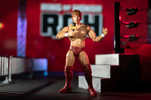 Load image into Gallery viewer, 2024 Jazwares - Ring of Honor: BRYAN DANIELSON (Daniel Bryan) Figure Exclusive!