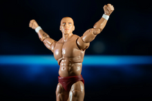 Load image into Gallery viewer, 2024 Jazwares - Ring of Honor: BRYAN DANIELSON (Daniel Bryan) Figure Exclusive!
