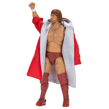Load image into Gallery viewer, 2024 Jazwares - Ring of Honor: BRYAN DANIELSON (Daniel Bryan) Figure Exclusive!