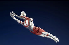 Load image into Gallery viewer, 45225001