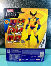 Load image into Gallery viewer, 45164524
