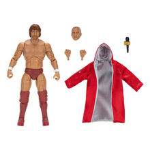 Load image into Gallery viewer, 2024 Jazwares - Ring of Honor: BRYAN DANIELSON (Daniel Bryan) Figure Exclusive!