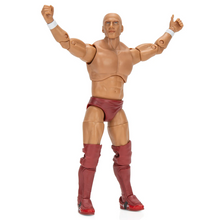 Load image into Gallery viewer, 2024 Jazwares - Ring of Honor: BRYAN DANIELSON (Daniel Bryan) Figure Exclusive!
