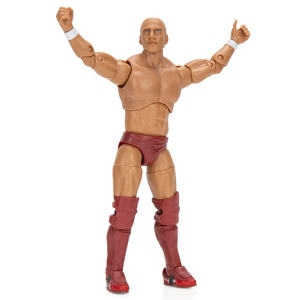 2024 Jazwares - Ring of Honor: BRYAN DANIELSON (Daniel Bryan) Figure Exclusive!