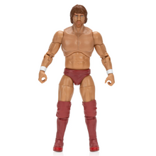 Load image into Gallery viewer, 2024 Jazwares - Ring of Honor: BRYAN DANIELSON (Daniel Bryan) Figure Exclusive!
