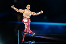 Load image into Gallery viewer, 2024 Jazwares - Ring of Honor: BRYAN DANIELSON (Daniel Bryan) Figure Exclusive!