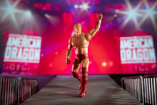 Load image into Gallery viewer, 2024 Jazwares - Ring of Honor: BRYAN DANIELSON (Daniel Bryan) Figure Exclusive!