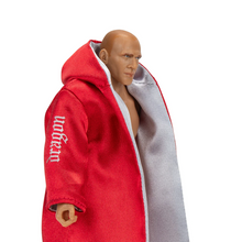 Load image into Gallery viewer, 2024 Jazwares - Ring of Honor: BRYAN DANIELSON (Daniel Bryan) Figure Exclusive!