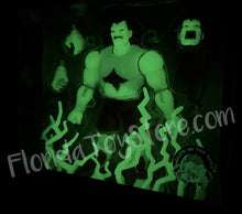 Load image into Gallery viewer, 47534711