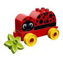 Load image into Gallery viewer, 2018 LEGO DUPLO: My First Ladybird (#10859, 6pcs)