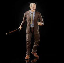 Load image into Gallery viewer, 2021 Hasbro Marvel Legends Series Figure - Loki (Disney+ Series) - MOBIUS