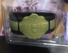 Load image into Gallery viewer, WWE Fan Central Fan Favorites: RIC FLAIR w/ Slam Band (World Heavyweight Title)