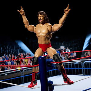 2023 WWE Ultimate Edition Colosseum Collection 2-Pack: HULK HOGAN & TERRY FUNK