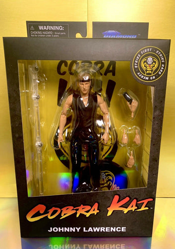 2021 Diamond Select - Cobra Kai - JOHNNY LAWRENCE - 7