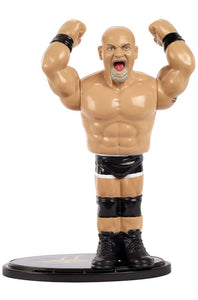 2017 WWE Retro Series 3 Action Figure: GOLDBERG
