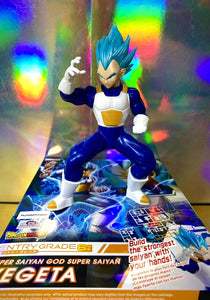 Bandai - Dragon Ball Z Entry Grade SUPER SAYAN GOD SUPER SAYAN VEGETA Model  Kit